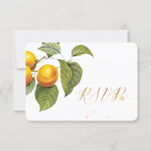 PixDezines RSVP Orchard/ Melocotones / Redoute
