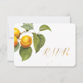 PixDezines RSVP Orchard/ Melocotones / Redoute