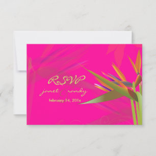 PixDezines rsvp Pájaro de Paraíso/color DIY