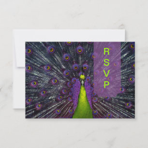 PixDezines rsvp Pluma de pavo real