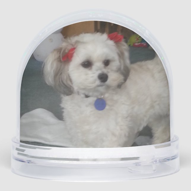 Pixie popper snow globe (Reverso)