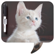 Gatito blanco vulnerable