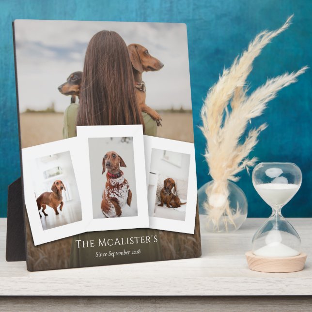 Placa de colage de cuatro fotos de mascota DIY (Lado)