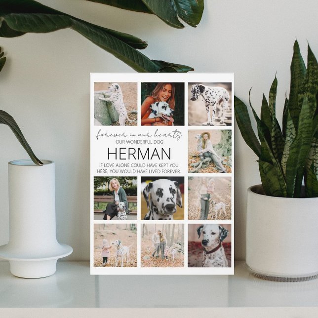 Placa de Colaje de Fotos de Mascota Moderna (Subido por el creador)