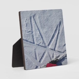 Placa de escritorio Ski Star