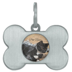 Placa de identificación para mascota