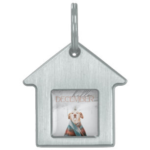 Placa de mascota enmarcada