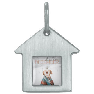 Placa de mascota enmarcada