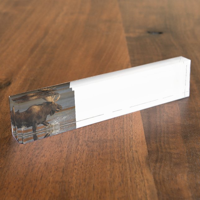 Placa De Nombre Alces de Bull (Lateral)