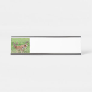 Placa De Nombre animales, ciervos, fauna, bosque, prado, caza, G