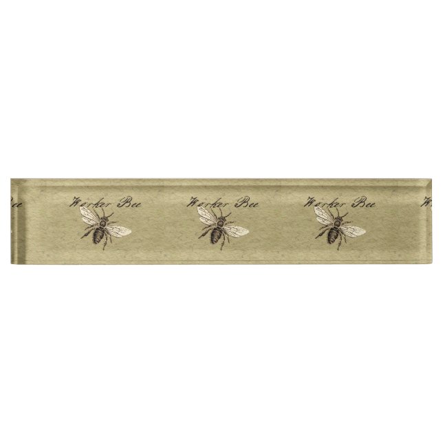 Placa De Nombre Antigüedad del Ilustracion de los insectos de los  (Anverso)