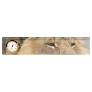 Placa De Nombre Arte de amantes de leones