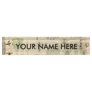 Placa De Nombre Bee Insect Bug Wasp Naturaleza Abejas Pintura