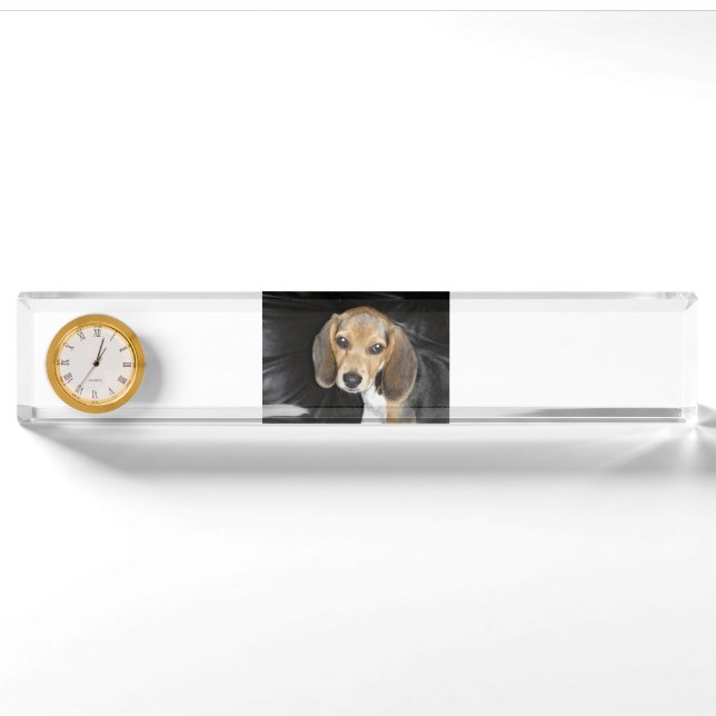 Placa De Nombre cachorro beagle 2 (Anverso)