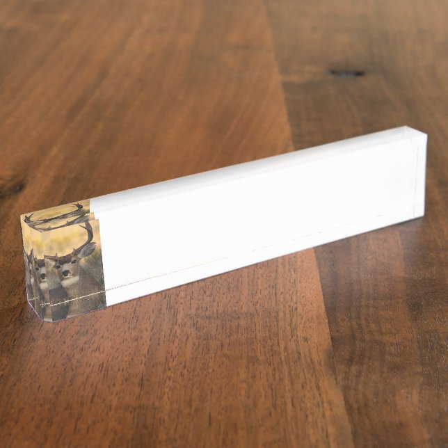 Placa De Nombre ciervos (Lateral)