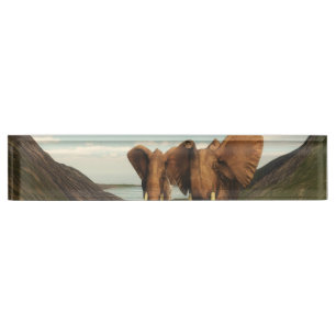 Placa De Nombre Elefante