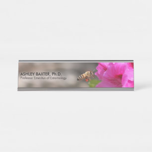 Placa De Nombre Entomología del profesor Insecciona el Hobbista de