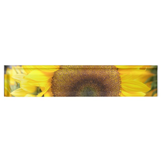 Placa De Nombre Girasol magnífico (Anverso)