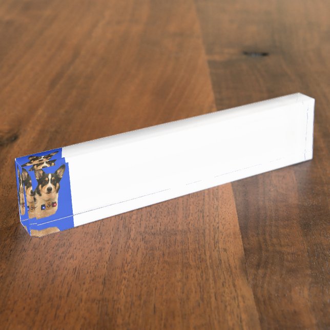 Placa De Nombre Guardia de seguridad (Lateral)