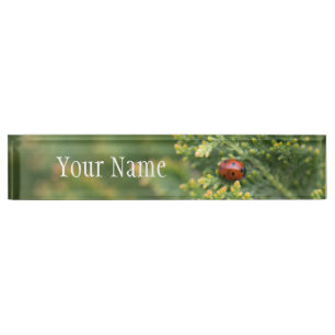 Placa De Nombre Ladybug