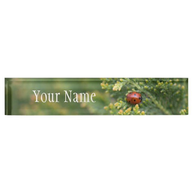 Placa De Nombre Ladybug (Anverso)