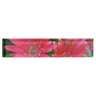 Placa De Nombre Margarita rosada del Gerbera