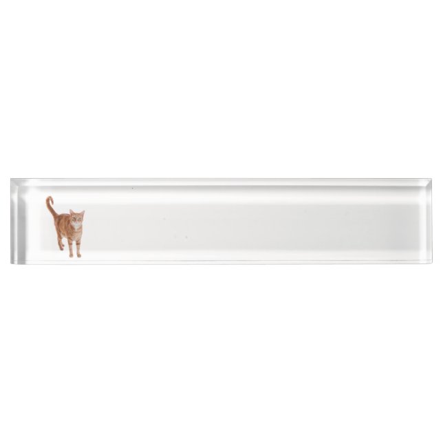 Placa De Nombre Naranja Tabby Cat (Anverso)