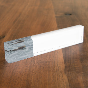 Placa De Nombre nutria y bebé de mar