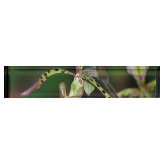 Placa De Nombre Orquídea única (Anverso)
