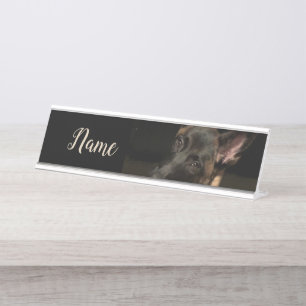 Placa De Nombre Perro de Malinois