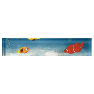 Placa De Nombre Pescados en el océano