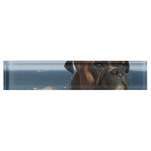 Placa De Nombre Producto del personalizar
