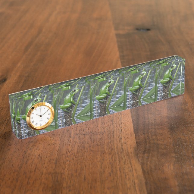 Placa De Nombre Rana De Vidrio Verde Sobre Leche En El Río, (Lateral)