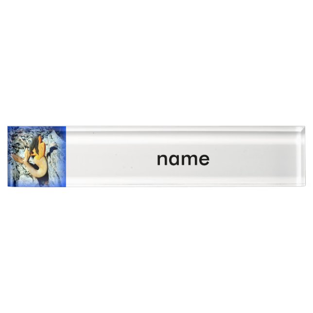 Placa De Nombre sirena de pelo negro (Anverso)