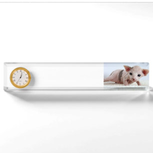 Placa De Nombre Sphynx kitten.png