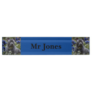 Placa De Nombre Staffordshire Bull Terrier In Blue Rosa Garden,