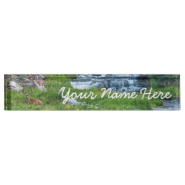 Placa De Nombre Un dólar descansa en un río en cascada