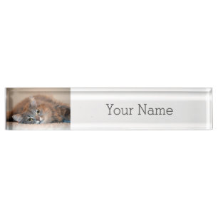 Placa De Nombre Un gato ruso azul y largamente haitiano por Shirle