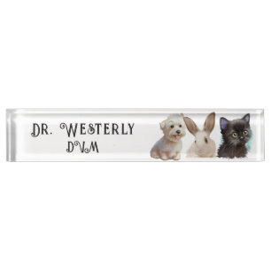Placa De Nombre Veterinaria DVM Dog Cat Bunny