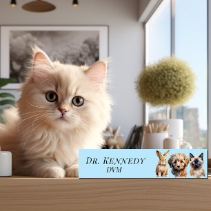 Placa De Nombre Veterinaria DVM Dog Cat Bunny