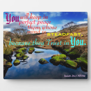 Placa de paz perfecta.