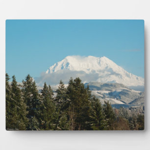 PLACA EXPOSITORA 12/22/2014