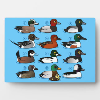 Placa Expositora 12 Patos