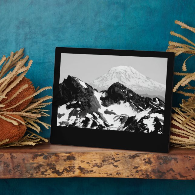 PLACA EXPOSITORA 165 (Lado)