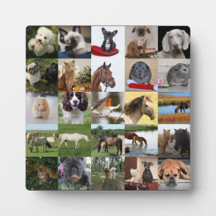 Placa Expositora 25xPhoto Colage Plaque - CUALQUIER ocasión