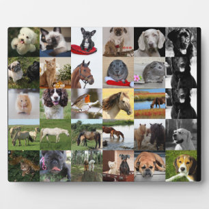 Placa Expositora 30xPhoto Colage Plaque - CUALQUIER ocasión