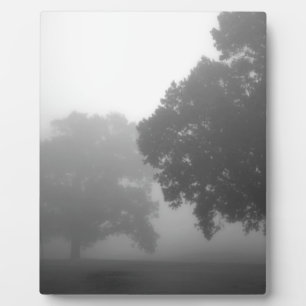Placa Expositora 3.ᵉʳ árbol