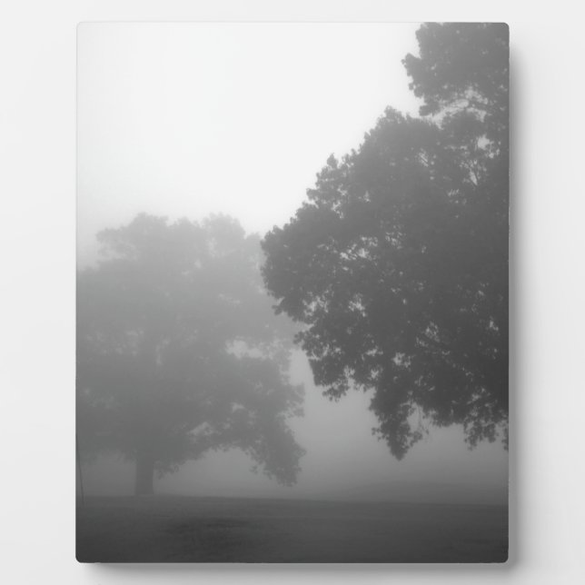 Placa Expositora 3.ᵉʳ árbol (Frente)