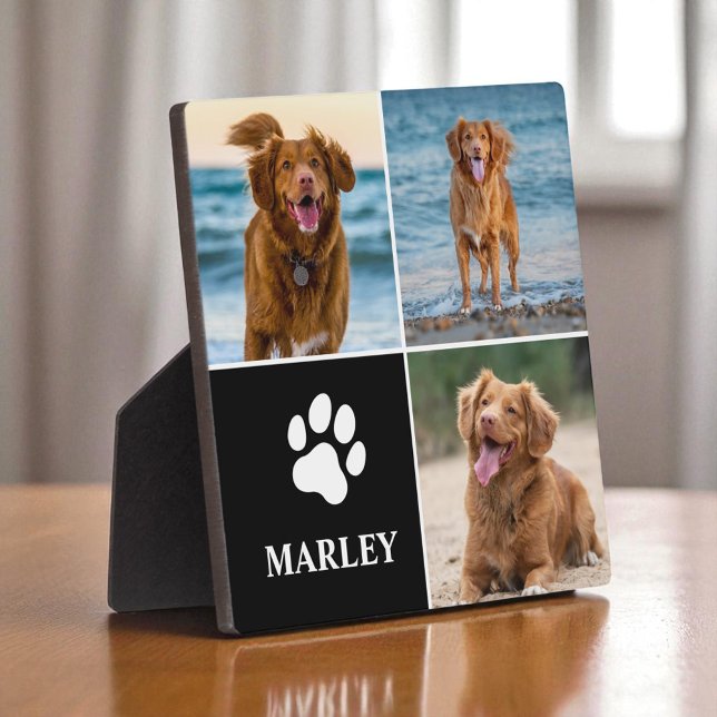 Placa Expositora 3 Collage de Fotos Mascotas Perros Amantes Moderno (Subido por el creador)