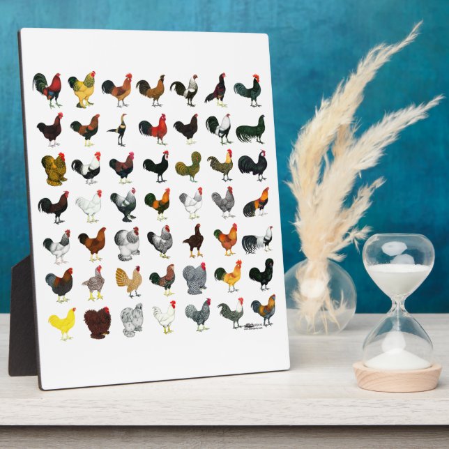 Placa Expositora 49 Galerías (Lado)